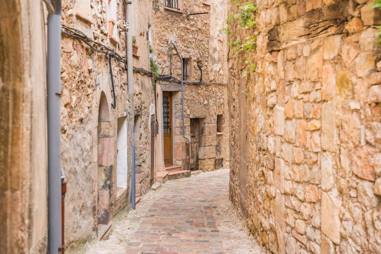 La Maison De L'Ane セイヤン エクステリア 写真